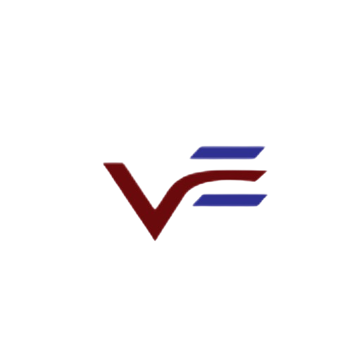 VE LOGO